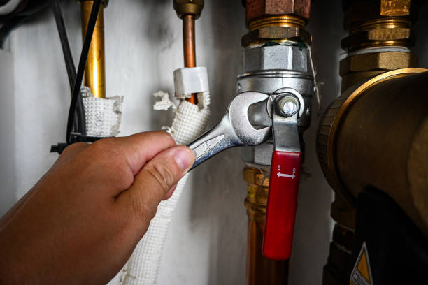 Best Toilet Repair Services  in Camn, DE
